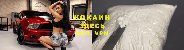 СК Касимов