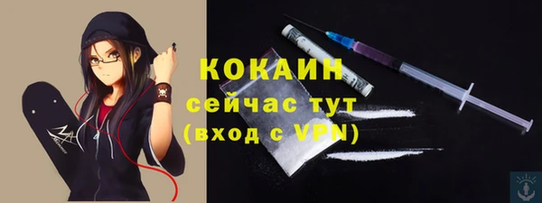 дурь Карпинск