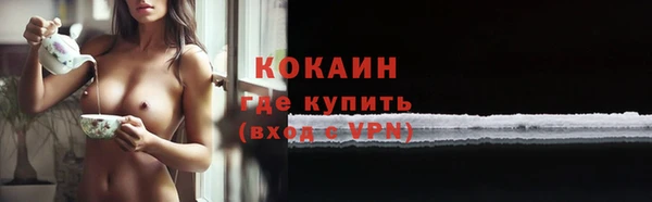 сатива Карталы