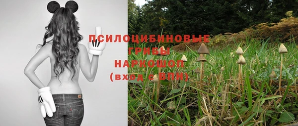 СК Касимов