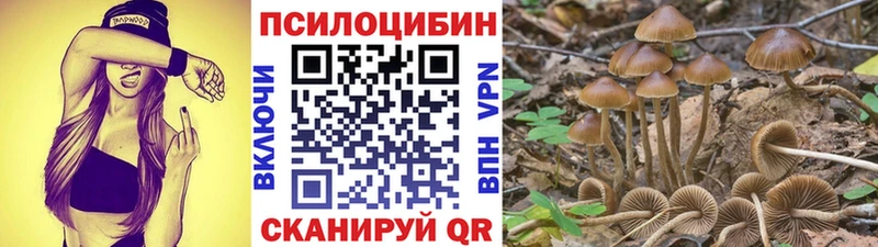 Псилоцибиновые грибы Magic Shrooms  Купить  Спасск 