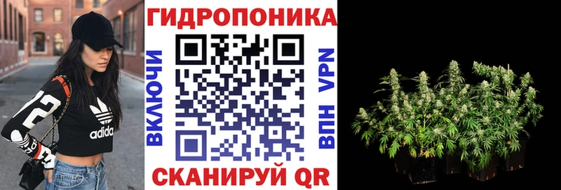 Купить закладки  Спасск  Бошки марихуана THC 21% 
